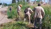 El Municipio refuerza tareas de desmalezamiento y mantenimiento de desagües