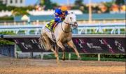 Regreso de estrellas: White Abarrio encabeza la lista de invitados a la Pegasus World Cup por $3 millones