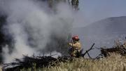 Alto riesgo de incendios forestales en Bariloche y El Bolsón
