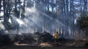Weretilneck llamó a reforzar la prevención de incendios forestales y pidió un uso racional del agua