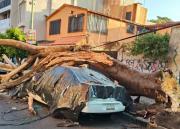 Sismo de 6,5 en México: reportan heridos, daños en edificios y la evacuación de la presidenta Sheinbaum