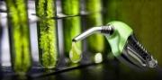 El Gobierno fijó los nuevos precios de los biocombustibles para enero de 2026