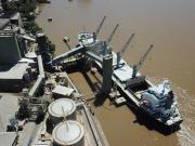 Argentina va por un récord total en la producción de granos: dejaría US$ 36.800 millones en exportaciones