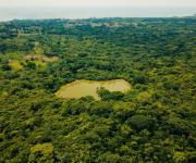 Mattelsa invirtió sus utilidades para restauración de cerca de 100 hectáreas de bosque
