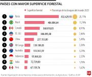 Conozca cuáles son los países que cuentan con mayor superficie forestal actualmente