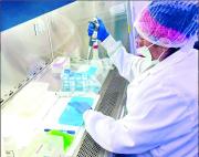 Los casos de gripe K en Santa Cruz y en Chuquisaca permanecen estables