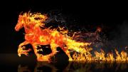 Caballo de Fuego en el horóscopo chino 2026: ¿Qué significa?