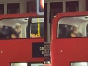 Una pareja fue vista teniendo sexo en un colectivo y todo quedó grabado: Animales