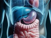 ¿Nueva terapia para la enfermedad hepática crónica más prevalente?