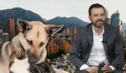 Usme: localidad del sur de Bogotá que encabezó la protección animal