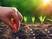 Bonos de carbono, otra industria sin humo que comienza a traer dólares