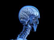 El perfil psicológico de una persona influye en el deterioro cognitivo con la edad