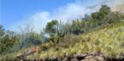Se desató un incendio forestal en Lago Hermoso: Gendarmería corta la Ruta 40 por el operativo de combate
