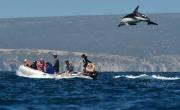 Tiene paisajes increíbles y se pueden avistar delfines durante el verano: el lugar ideal para ir de vacaciones