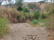 Falla de borde amenaza con socavar la vialidad