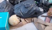 Macabro hallazgo en Playa Grande: cráneo humano encontrado entre la basura en Mar del Plata