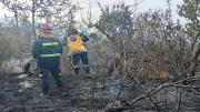 En los primeros cuatro días del año, Bomberos debió intervenir en 43 incendios de campo en Soriano