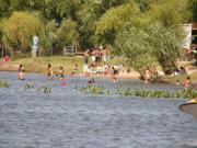 Informe del estado sanitario de las aguas recreativas de Soriano