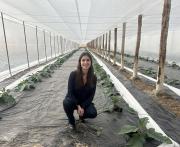 Ajíes tucumanos rumbo a Francia: el proyecto de una joven que apuesta por la agricultura y el empleo rural