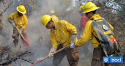 Balance de Conaf por incendios forestales en Los Lagos: 86 siniestros registrados en la temporada