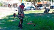 Servicios Públicos desplegó un amplio operativo de limpieza y mantenimiento durante el fin de semana