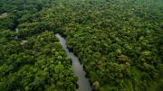 ¿Qué es el clima hipertropical y por qué está destruyendo la Amazonia?