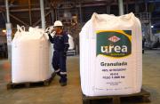 IBNORCA certifica calidad de la urea boliviana que apunta a competir en mercados del mundo