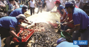 Curanto más grande del mundo podría no realizarse: municipio de Calbuco no compró terreno para evento