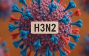 La sùper Gripe H3N2 avanza en Argentina: confirmaron nuevos contagios