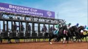 Hoy arrancan las primeras pruebas clasificatorias de la temporada rumbo a las Breeders’ Cup