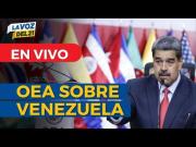 Debate sobre la crisis en Venezuela en la OEA estuvo marcado por incidentes y pronunciamientos
