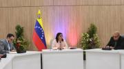 Presidenta encargada Delcy Rodríguez: “El Gobierno constitucional de Venezuela rige en nuestro país, más nadie”