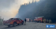 Al menos 10 hectáreas destruidas deja incendio forestal en cercanías de Ruta de la Madera