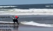 Murió de manera repentina en una playa de Uruguay y su perro aún sigue allí buscándolo