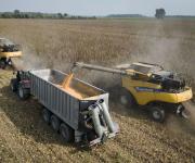 Lluvias en Argentina renovarán niveles de humedad para soja y maíz en verano austral