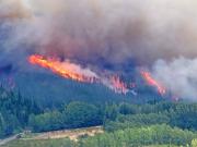El humo no da tregua en la Ruta 40: cómo están los caminos por los incendios en Epuyén
