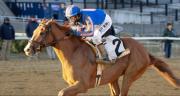 Paladin hijo de Gun Runner que costó $1.900.000 defenderá su invicto rumbo al Kentucky Derby (G1)