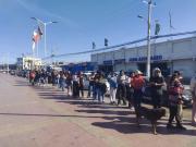 Un Total De 400 Felinos Serán Esterilizados Gratuitamente Por La Municipalidad De Alto Hospicio