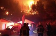 Incendios en Chubut: ofrecen $50 millones de recompensa y confirman que el fuego fue intencional