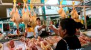 Tarija: Cae el precio del pollo, de 25 a 15 bolivianos