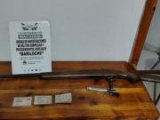 Mataron y faenaron a un guanaco en el Parque Nahuel Huapi y ahora deberán pagar $ 6.000.000 para evitar ir a juicio