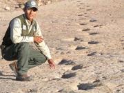 El parque nacional Toro Toro impulsa la protección de huellas de dinosaurios con la construcción de un muro