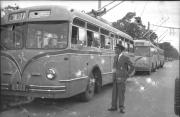 Recuerdos fotográficos: hace 70 años crecían la flota, el servicio de trolebuses y nacía la línea 101