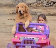 El copiloto perfecto: Una niña y su Golden conquistan las redes en su Jeep rosa