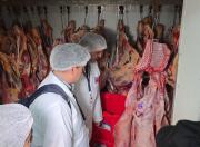 Salud cursó seis sumarios sanitarios tras 85 fiscalizaciones