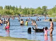 Las zonas pet friendly de los balnearios de Neuquén entraron en vigencia esta semana