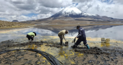 Opinión Tormento boliviano: La silenciosa muerte en el altiplano chileno