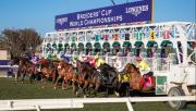 Las Breeders’ Cup anunció el calendario internacional para la Challenge Series “Win And You´re In”