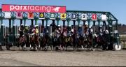 El dominio de 2026: Wanna Go Home establece hasta ahora la victoria más grande del año en Parx Racing
