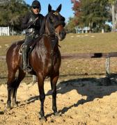 La promesa de $1.3 millones: Hijo de Uncle Mo y Cacciatora afina detalles para su debut